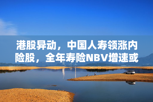 港股异动，中国人寿领涨内险股，全年寿险NBV增速或超预期