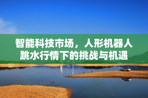 智能科技市场，人形机器人跳水行情下的挑战与机遇