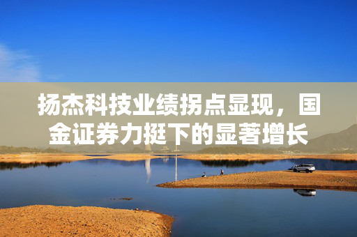 扬杰科技业绩拐点显现，国金证券力挺下的显著增长