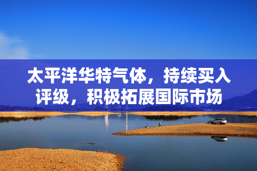 太平洋华特气体，持续买入评级，积极拓展国际市场