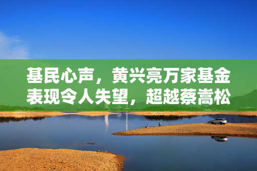 基民心声，黄兴亮万家基金表现令人失望，超越蔡嵩松的遗憾