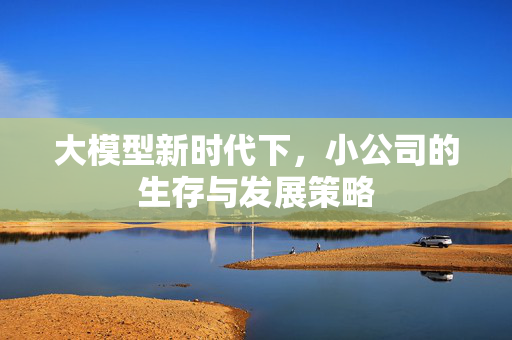 大模型新时代下，小公司的生存与发展策略