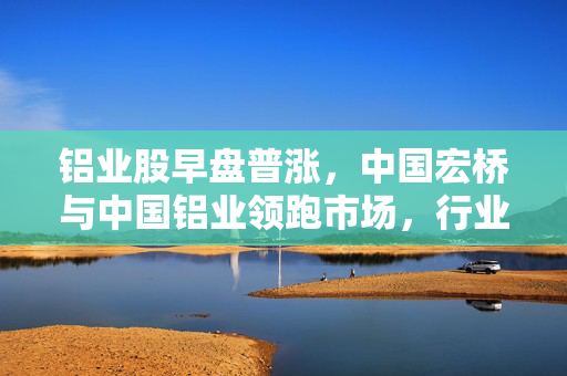 铝业股早盘普涨，中国宏桥与中国铝业领跑市场，行业前景展望展望分析