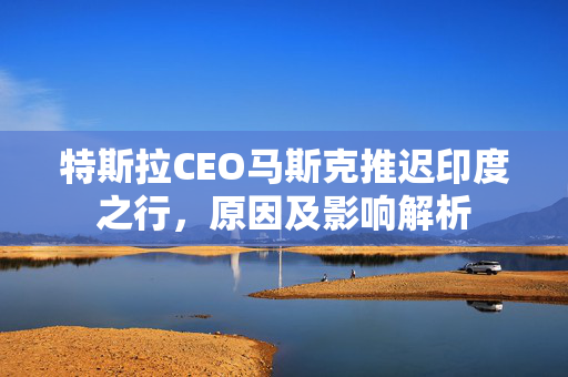 特斯拉CEO马斯克推迟印度之行，原因及影响解析