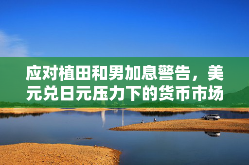 应对植田和男加息警告，美元兑日元压力下的货币市场策略与期待