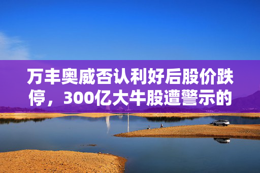 万丰奥威否认利好后股价跌停，300亿大牛股遭警示的背后真相