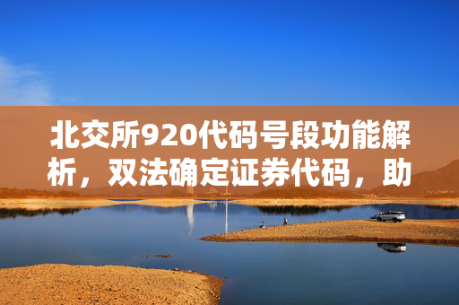 北交所920代码号段功能解析，双法确定证券代码，助力精准判断公司价值