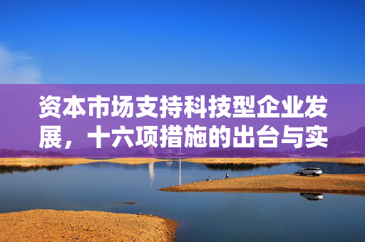 资本市场支持科技型企业发展，十六项措施的出台与实施效果