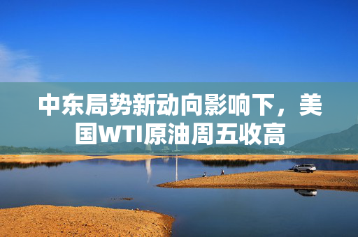 中东局势新动向影响下，美国WTI原油周五收高