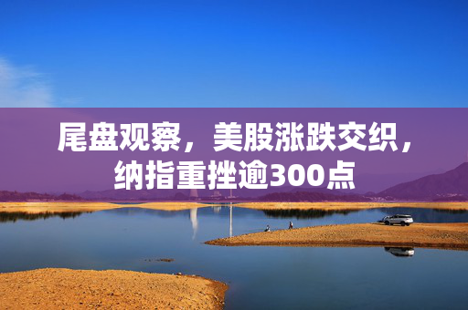 尾盘观察，美股涨跌交织，纳指重挫逾300点