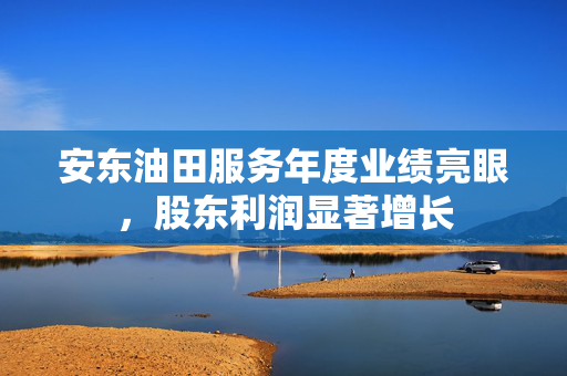 安东油田服务年度业绩亮眼，股东利润显著增长