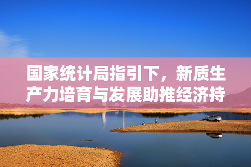 国家统计局指引下，新质生产力培育与发展助推经济持续健康增长