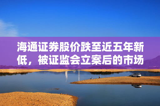 海通证券股价跌至近五年新低，被证监会立案后的市场反应与未来展望