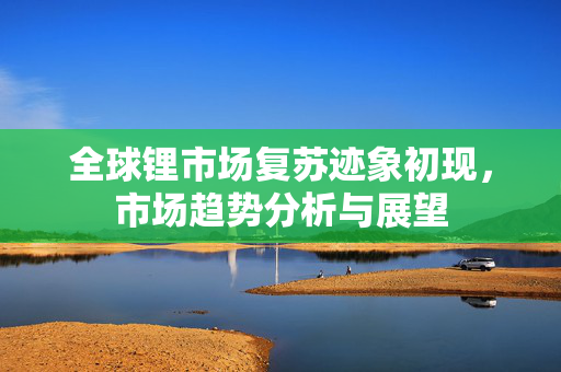 全球锂市场复苏迹象初现，市场趋势分析与展望