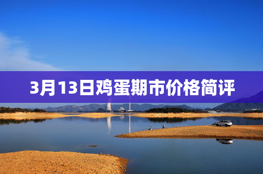 3月13日鸡蛋期市价格简评