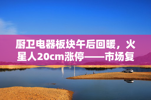厨卫电器板块午后回暖,火星人20cm涨停——市场复苏信号与行业新机遇 厨卫电器板块午后回暖,火星人20cm涨停——市场复苏信号与行业新机遇