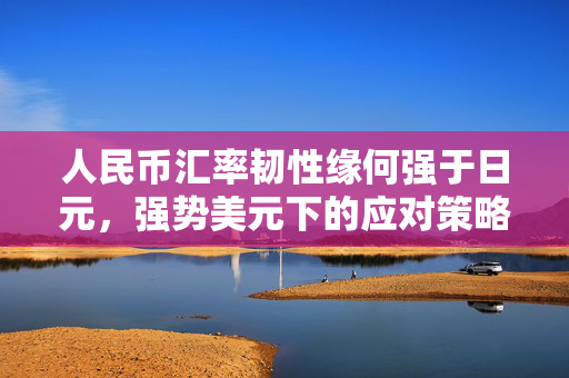 人民币汇率韧性缘何强于日元，强势美元下的应对策略