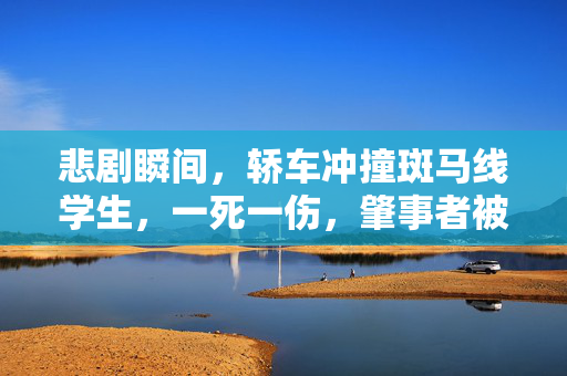 悲剧瞬间，轿车冲撞斑马线学生，一死一伤，肇事者被依法严控