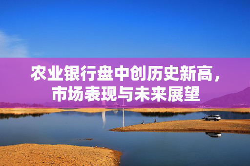 农业银行盘中创历史新高，市场表现与未来展望