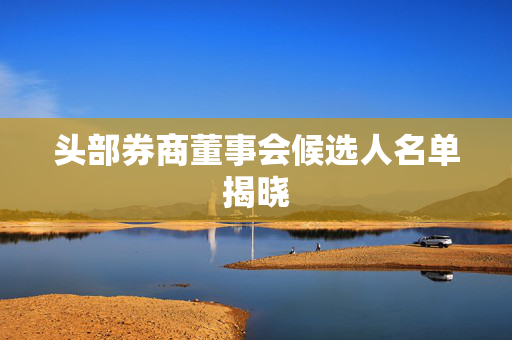 头部券商董事会候选人名单揭晓