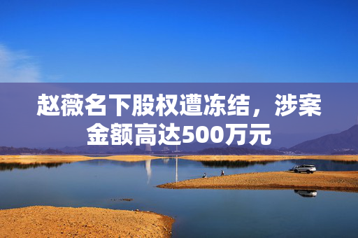 赵薇名下股权遭冻结，涉案金额高达500万元