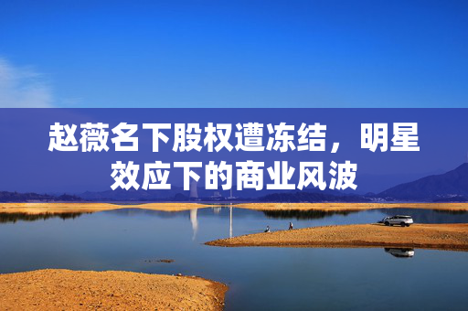赵薇名下股权遭冻结，明星效应下的商业风波