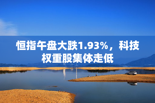 恒指午盘大跌1.93%，科技权重股集体走低