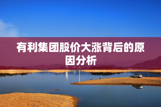 有利集团股价大涨背后的原因分析