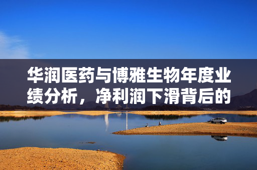 华润医药与博雅生物年度业绩分析，净利润下滑背后的原因与展望
