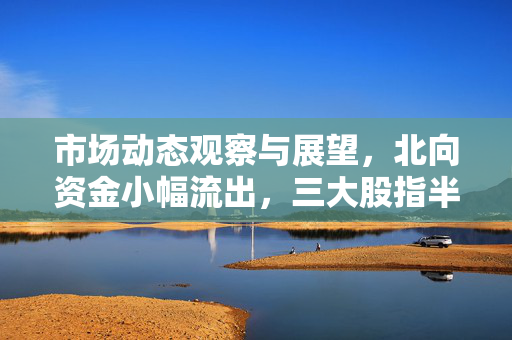 市场动态观察与展望，北向资金小幅流出，三大股指半日震荡走低