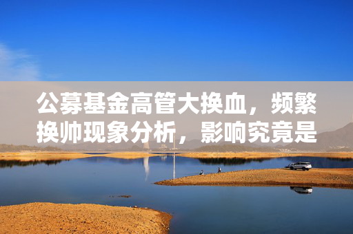 公募基金高管大换血，频繁换帅现象分析，影响究竟是好是坏？