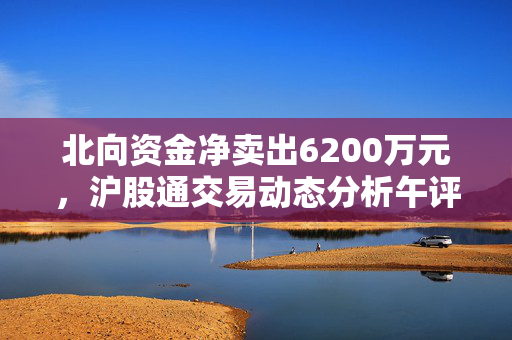 北向资金净卖出6200万元，沪股通交易动态分析午评