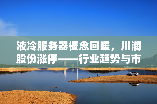 液冷服务器概念回暖，川润股份涨停——行业趋势与市场动态解析