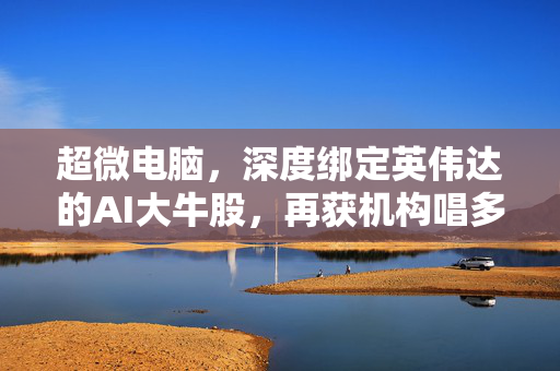 超微电脑，深度绑定英伟达的AI大牛股，再获机构唱多