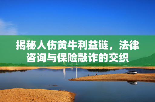 揭秘人伤黄牛利益链，法律咨询与保险敲诈的交织