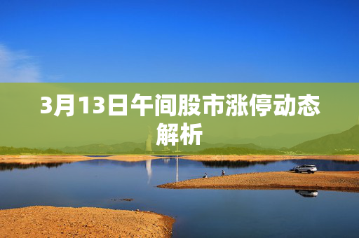 3月13日午间股市涨停动态解析
