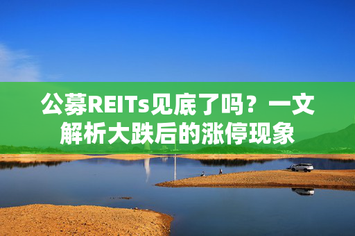 公募REITs见底了吗？一文解析大跌后的涨停现象