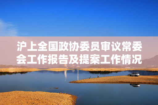 沪上全国政协委员审议常委会工作报告及提案工作情况报告