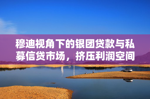 穆迪视角下的银团贷款与私募信贷市场，挤压利润空间与面临的挑战