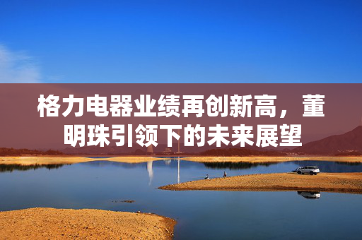 格力电器业绩再创新高，董明珠引领下的未来展望