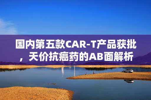 国内第五款CAR-T产品获批，天价抗癌药的AB面解析与行业风向标