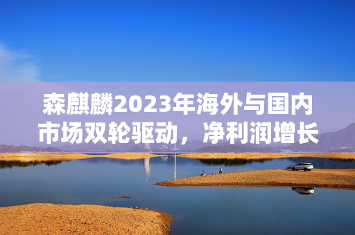 森麒麟2023年海外与国内市场双轮驱动，净利润增长超七成，风口下的市场解读