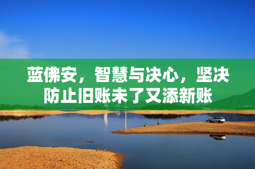 蓝佛安，智慧与决心，坚决防止旧账未了又添新账