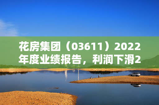 花房集团（03611）2022年度业绩报告，利润下滑28.69%至2.32亿元