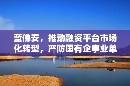 蓝佛安，推动融资平台市场化转型，严防国有企事业单位新马甲现象