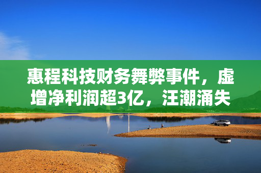 惠程科技财务舞弊事件，虚增净利润超3亿，汪潮涌失权后遭监管重罚
