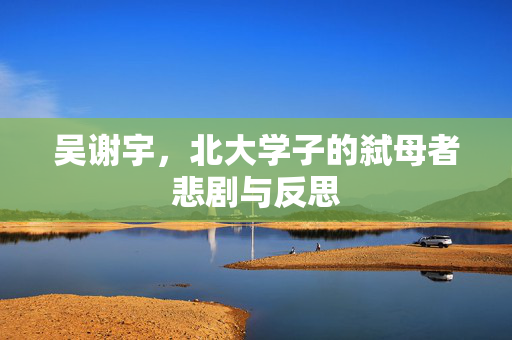 吴谢宇，北大学子的弑母者悲剧与反思
