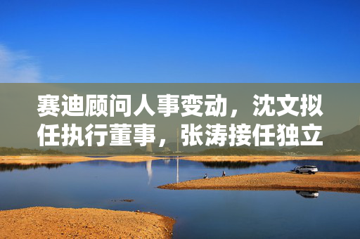 赛迪顾问人事变动，沈文拟任执行董事，张涛接任独立非执行董事