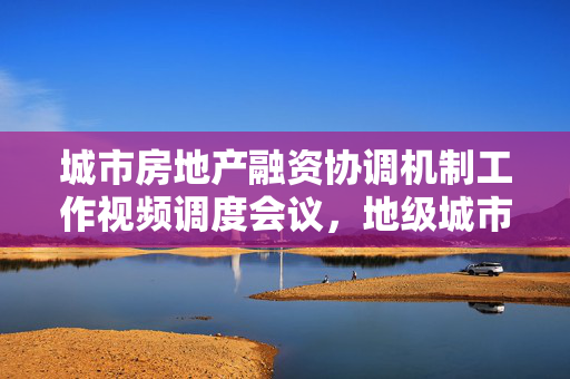 城市房地产融资协调机制工作视频调度会议，地级城市行动指南的解读与实施