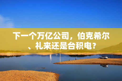 下一个万亿公司，伯克希尔、礼来还是台积电？